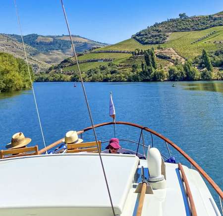 Vallée Du Douro: Excursion En Bateau Privé Sur Le Fleuve Douro Avec Un Verre De Vin