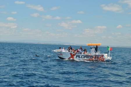 Passeio De Barco De Albufeira Para Observação De Golfinhos E Gruta De Benagil