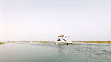 Algarve Eco-Friendly Solar Bootsfahrt In Der Ria Formosa Von Faro