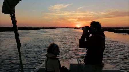 Sunset Boat Trip: An Eco-Friendly Tour Of Ria Formosa On A Solar Boat From Faro